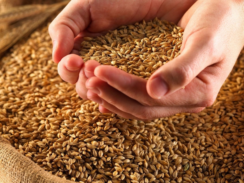 Recipe mash of wheat without yeast